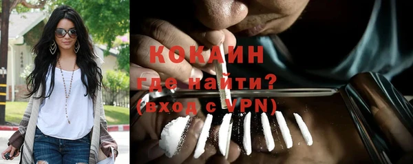 мет Ладушкин