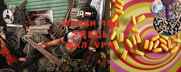 прущие крисы Кулебаки