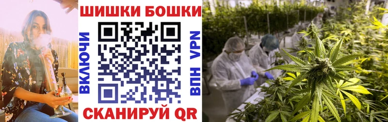 Каннабис план Дно
